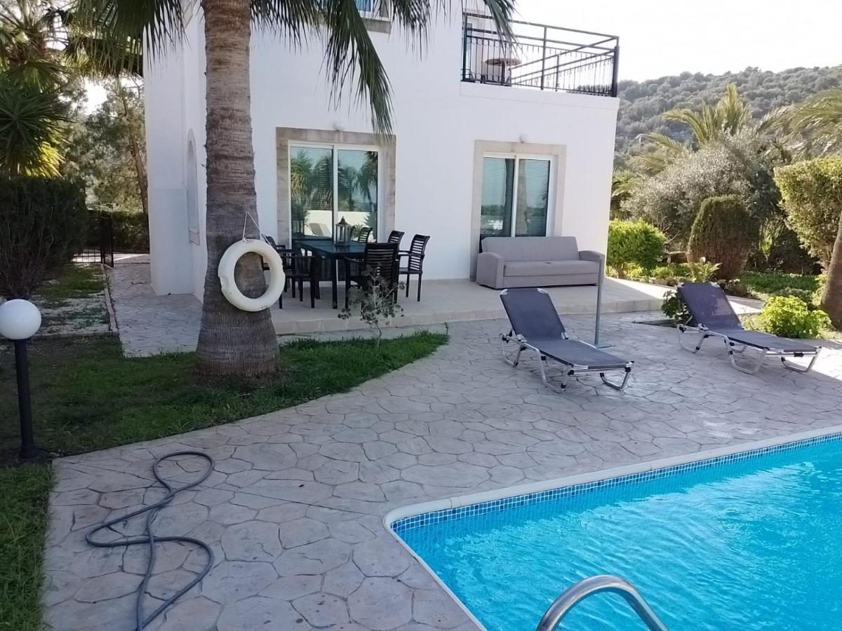 Villa Chrysanthemum Neo Chorio Exterior photo