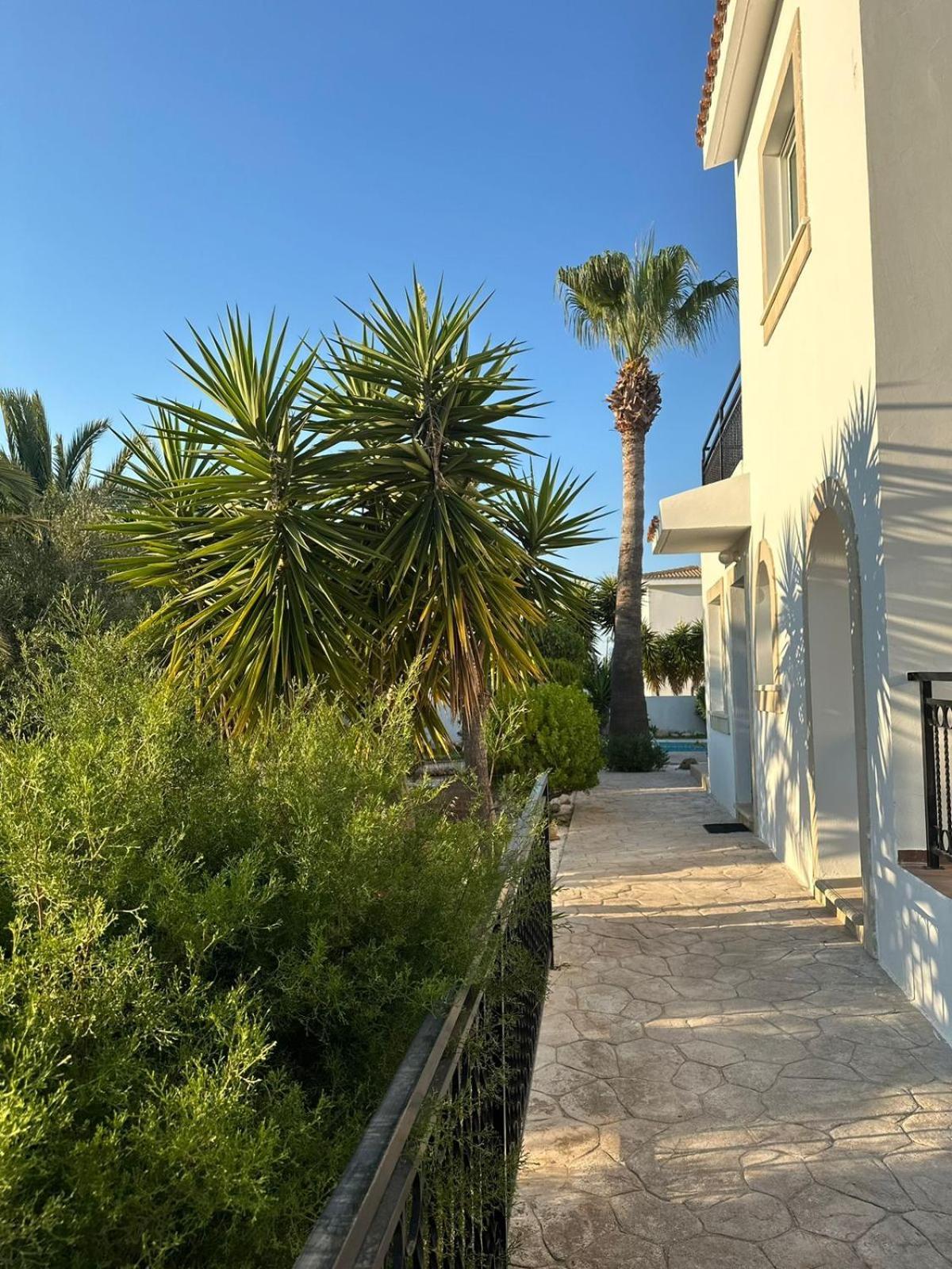 Villa Chrysanthemum Neo Chorio Exterior photo